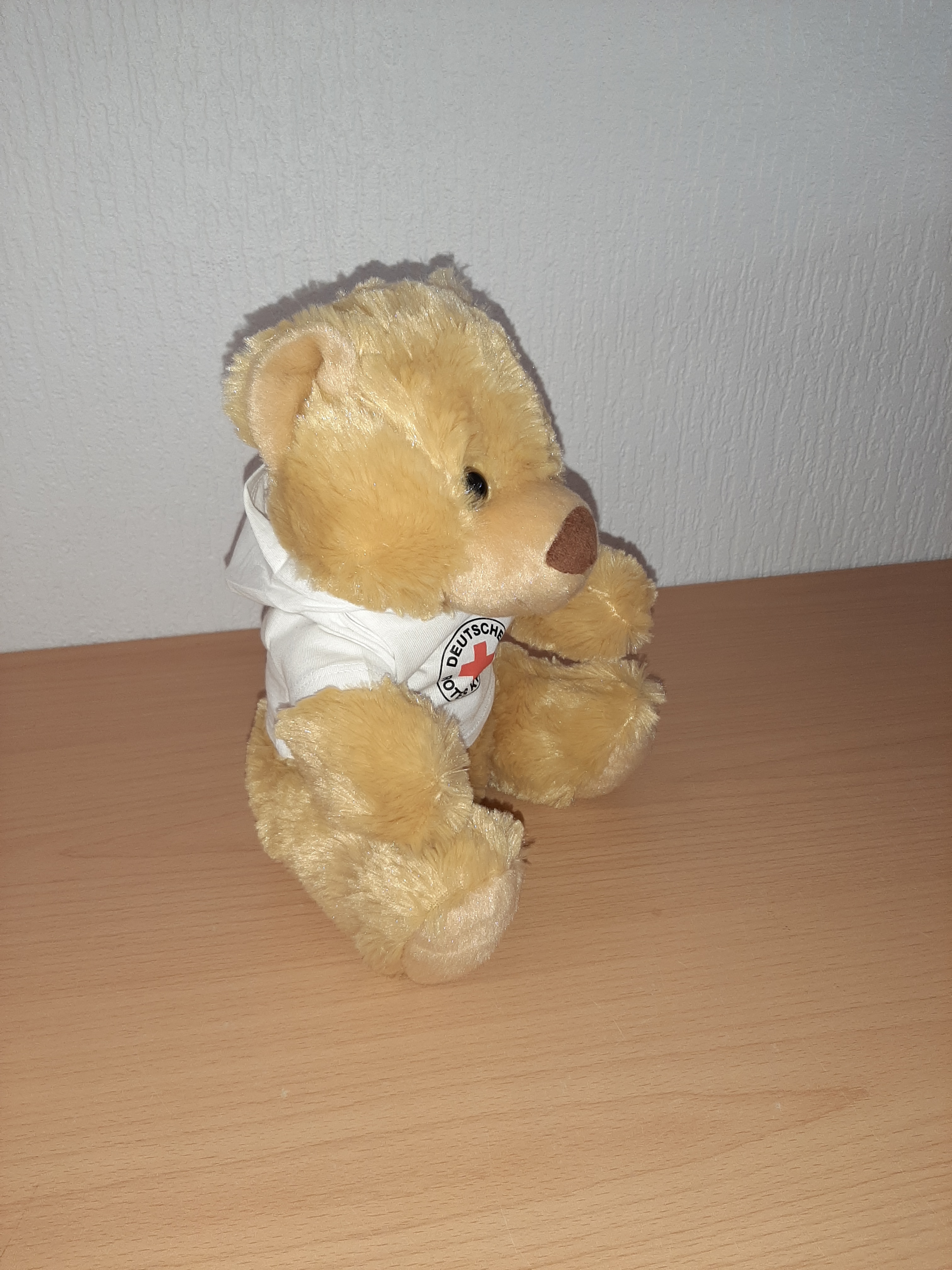 Teddy mit Hoody